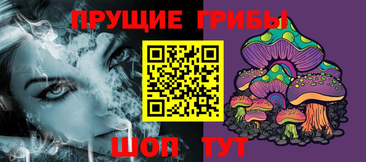 Псилоцибиновые грибы Psilocybe Астрахань